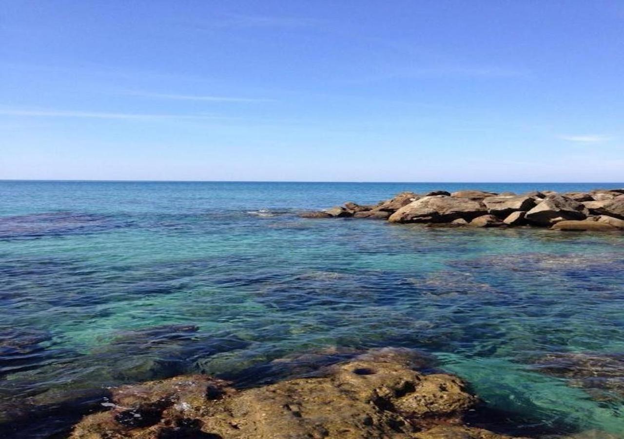 L'Albero Di Limoni Sul Mare Di Pizzo Villa Exterior foto