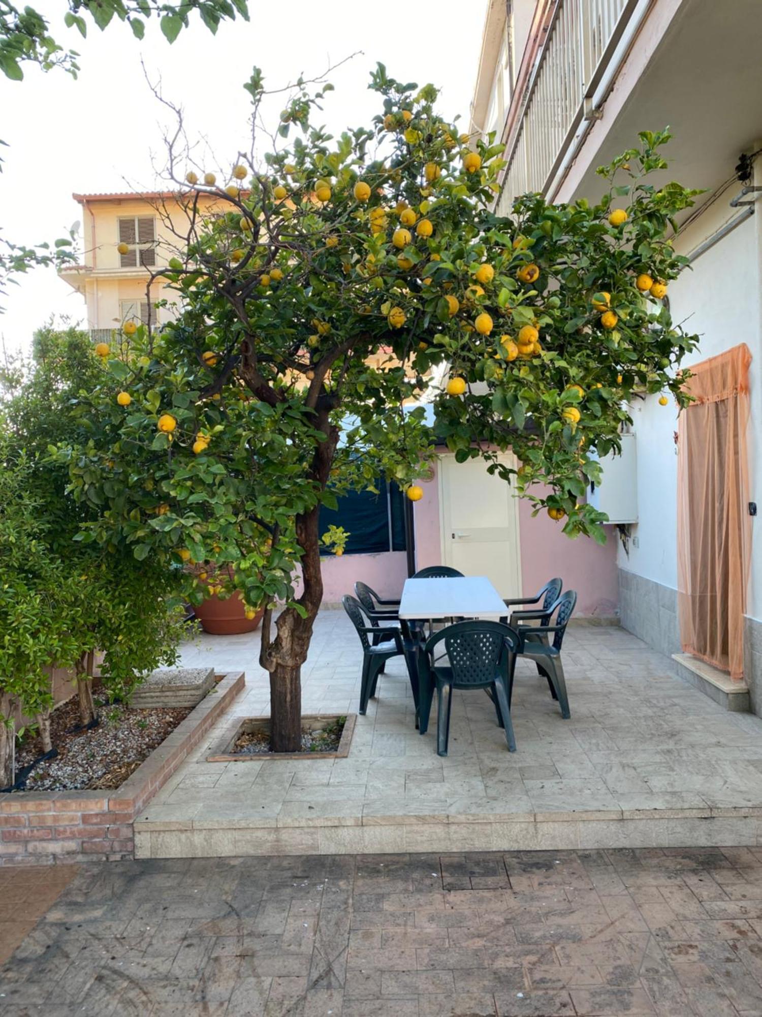 L'Albero Di Limoni Sul Mare Di Pizzo Villa Exterior foto