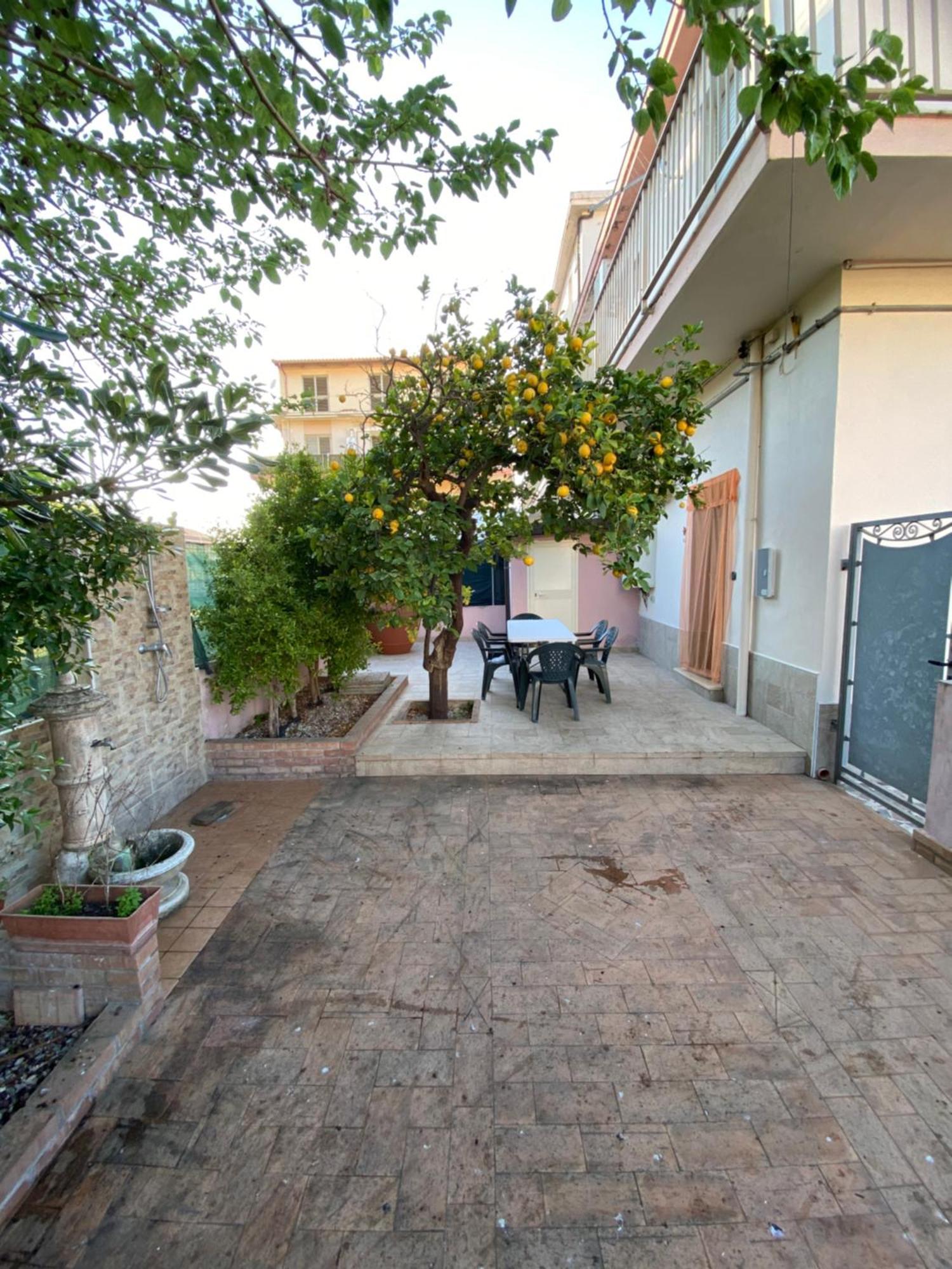 L'Albero Di Limoni Sul Mare Di Pizzo Villa Exterior foto